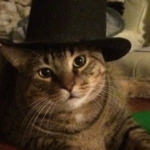 Meet your Posher, Austin